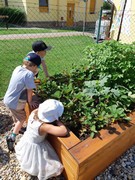 Na školní zahradě