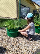 Na školní zahradě