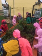 Naše zahrádka na podzim