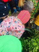 Naše zahrádka na podzim