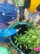 Naše zahrádka na podzim