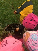 Naše zahrádka na podzim