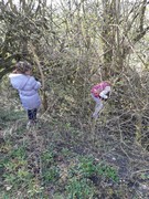 Ukliďme Česko - výprava k lesu