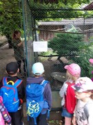 Výlet do ZOO Chleby