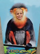 Výlet do ZOO Chleby