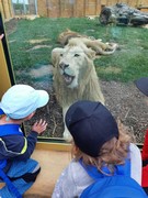 Výlet do ZOO Chleby