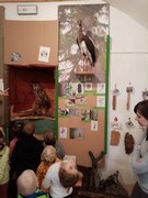 Dopolední výlet do Dobrovic - Stromy jako domy