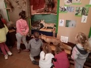 Dopolední výlet do Dobrovic - Stromy jako domy