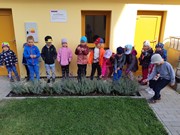 Levandulové záhonky ve školce