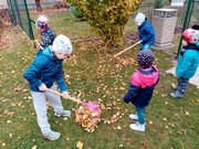 Podzim na školní zahradě