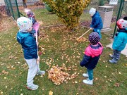 Podzim na školní zahradě