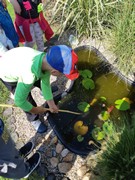 Pozorujeme přírodu