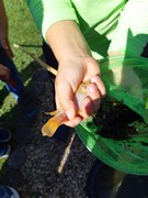 Pozorujeme přírodu