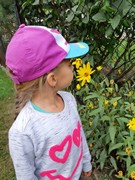 Pozorujeme přírodu