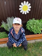 Pozorujeme přírodu