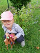 Pozorujeme přírodu