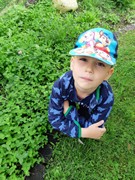 Pozorujeme přírodu