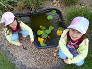 Pozorujeme přírodu