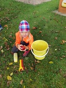 Sklízíme jablka ne školní zahrádce