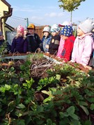 Sklízíme úrodu ze školní zahrádky