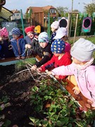 Sklízíme úrodu ze školní zahrádky