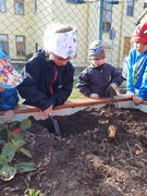 Sklízíme úrodu ze školní zahrádky