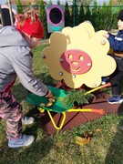 Sklízíme úrodu ze školní zahrádky