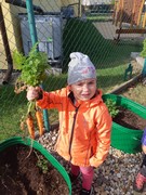 Sklízíme úrodu ze školní zahrádky