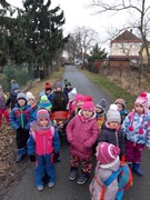 Výprava do lesa za zvířátky