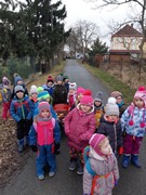 Výprava do lesa za zvířátky