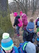 Výprava do lesa za zvířátky