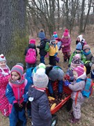 Výprava do lesa za zvířátky