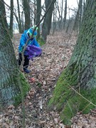 Výprava do lesa za zvířátky