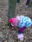 Výprava do lesa za zvířátky