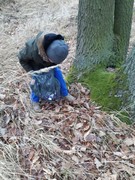 Výprava do lesa za zvířátky