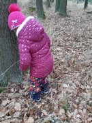 Výprava do lesa za zvířátky