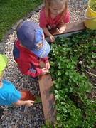 Pracujeme na školní zahradě