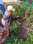 Pracujeme na školní zahradě