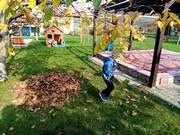 Školní zahrada na podzim