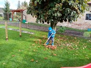 Školní zahrada na podzim