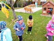 Školní zahrada na podzim