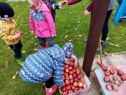 Školní zahrada na podzim