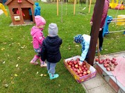 Školní zahrada na podzim