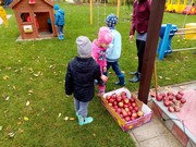 Školní zahrada na podzim