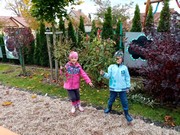 Školní zahrada na podzim