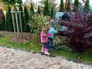 Školní zahrada na podzim