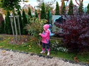 Školní zahrada na podzim