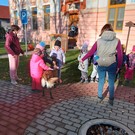 Canisterapie ve školce