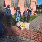 Canisterapie ve školce