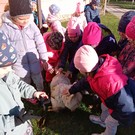 Canisterapie ve školce